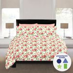 Set de Sábanas Queen 6 Pzas Diseños Surtidos