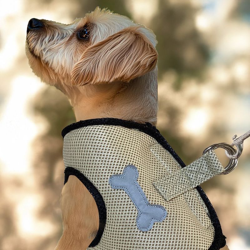 Arnés de Nylon para Perro Talla L