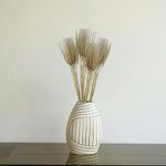 Espiga de Trigo Seco Decorativo