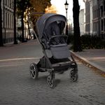 Carruaje de Paseo MIXX Next Océano