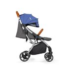 Carruaje con Asiento Reclinable Azul 85x50x100 Cm