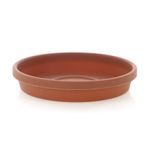 Caja Terracota 4 - Bloem