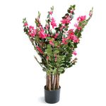 Planta Decorativa con Maceta Rosa