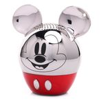 Bitty Boomers Disney