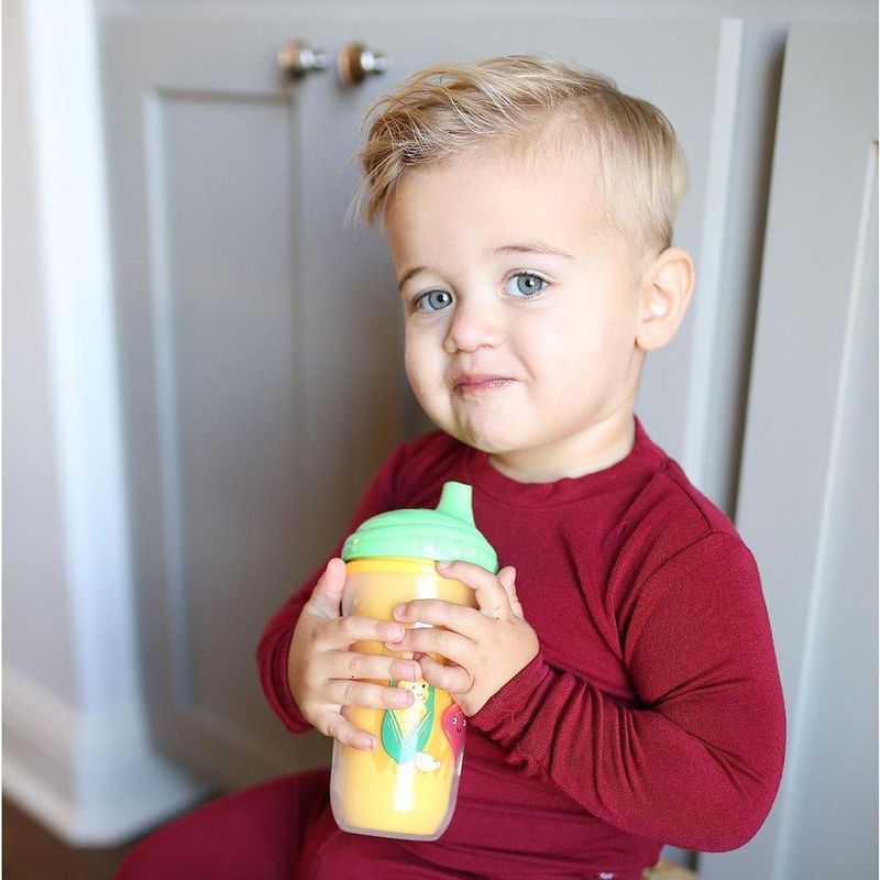 Beberito Insulado 9 Oz Colores Surtidos - Nuby