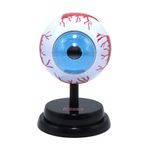 Set Profesional de Ojos Eastcolight