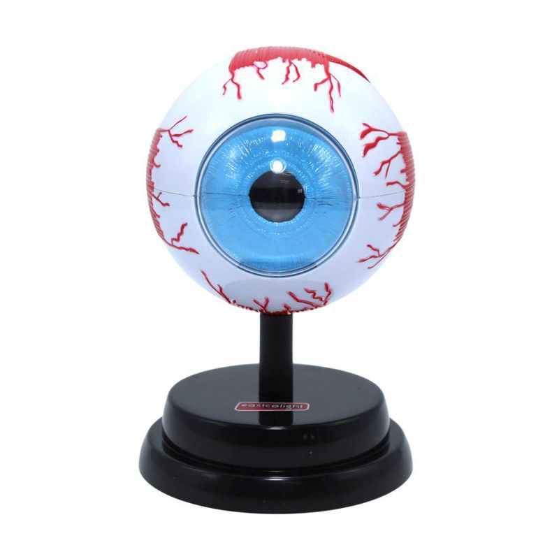 Set Profesional de Ojos Eastcolight