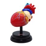 Set Profesional de Cardiología Eastcolight