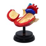 Set Profesional de Cardiología Eastcolight