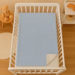 Frazada Infantil Azul 100x75 Cm