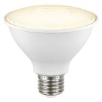 Reflector Led Para Exterior Luz Cálida De 8 W - Tecnolite