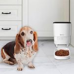 Dispensador de Alimento para Mascota con Wi-Fi
