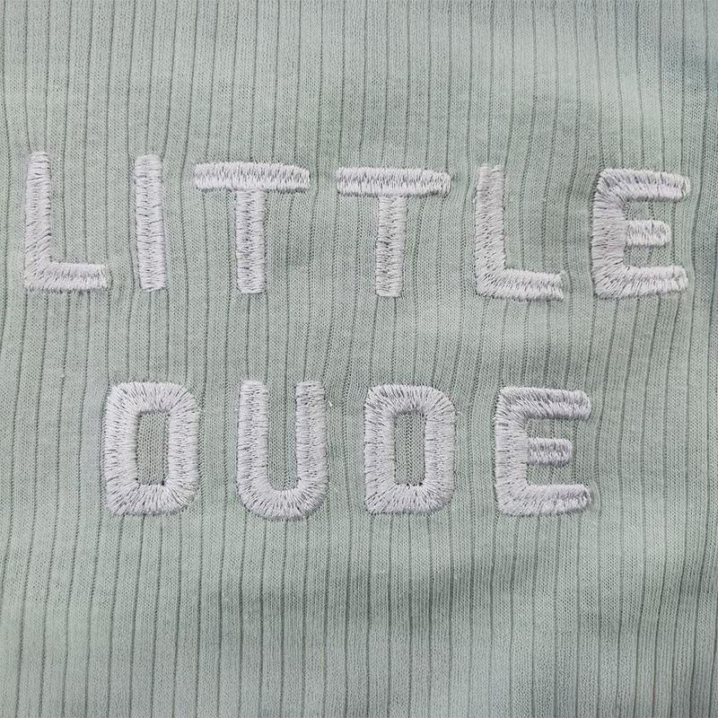 Set De Ropa Dinos 4 Pzas 6-9 Meses