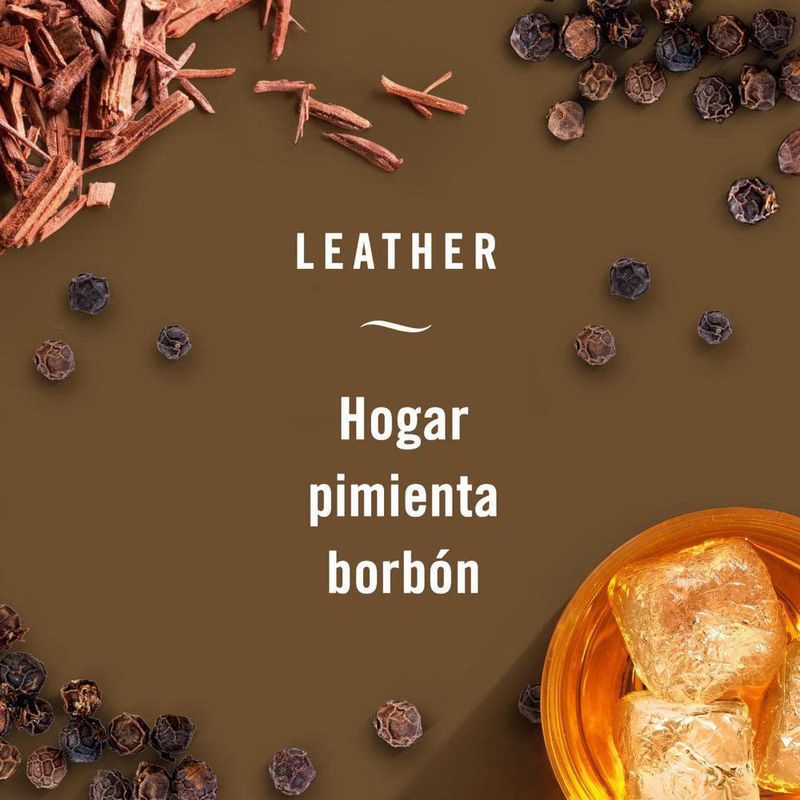 Set de Aromatizantes Aroma Cuero 2 Pzas