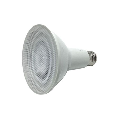 Reflector LED PAR30 10 W Luz Día IP65