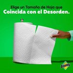 Rollo de Toallas de Papel Doble