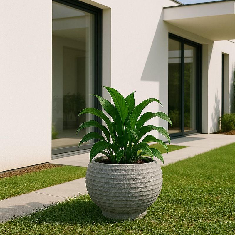 Maceta Bromelia Granit Piedra 42 x 48 Cm