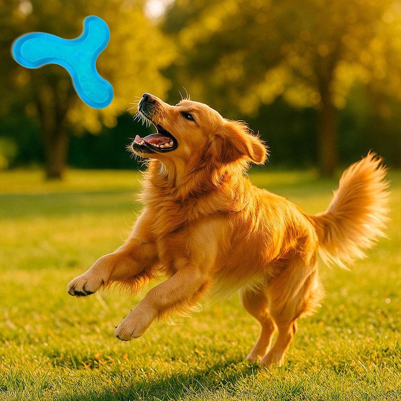 Disco de Lanzamiento para Perros Colores Surtidos