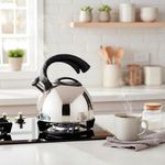 Tetera Satinada 3L con Silbato