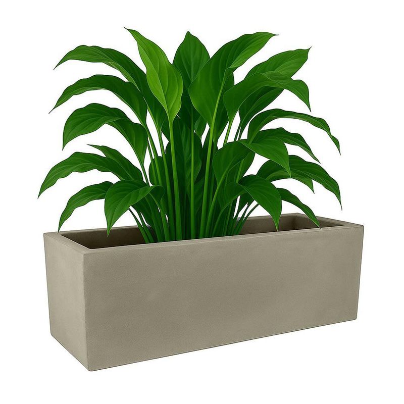 Maceta Cube Flower Box Blanco Antiguo 60 x 20 Cm