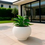 Maceta Bromelia Blanca 26 x 24 Cm