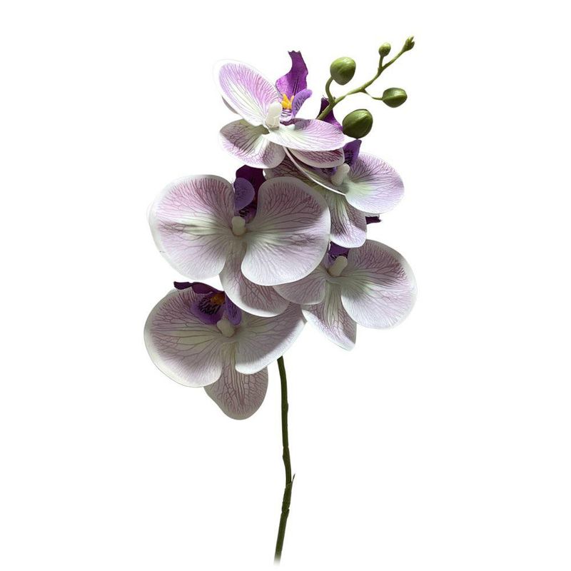 Orquídea Decorativa Blanca con Veta Rosa