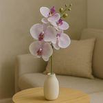 Orquídea Decorativa Blanca con Veta Rosa