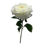 Rama Decorativa Rosa Blanca