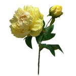 Rama Decorativa Peonía Amarilla