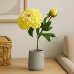 Rama Decorativa Peonía Amarilla