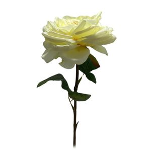 Rama Decorativa Rosa Marfil