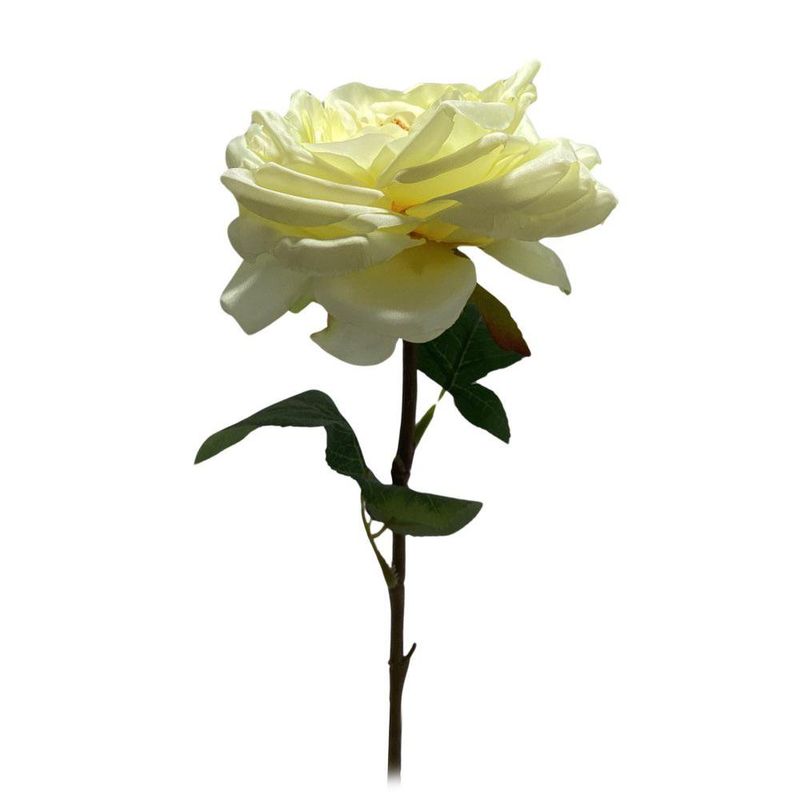 Rama Decorativa Rosa Marfil