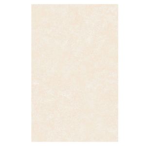 Azulejo Beige Palenque Tipo Brillante 20x31 Cm