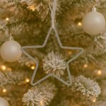 Estrella Navideña 20 Cm Plateada