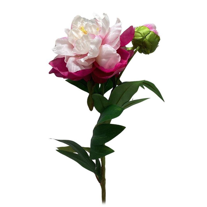 Rama Decorativa Peonía Bicolor