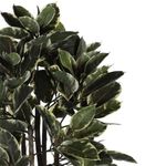Planta Decorativa Artificial Ficus Bicolor