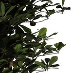 Planta Decorativa Artificial Follaje Verde Oscuro