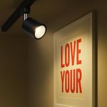 Luminario de Riel Tipo Spot LED Negro 10 W