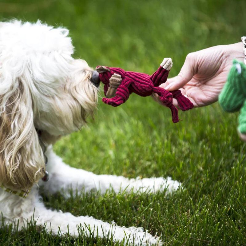 Juguetes para Perro de Tela Diseños Surtidos