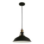 Lámpara Colgante Negra 1 Luz Base E27 60 W - Z