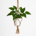 Colgador de Plantas Tipo Macramé 36 Plg