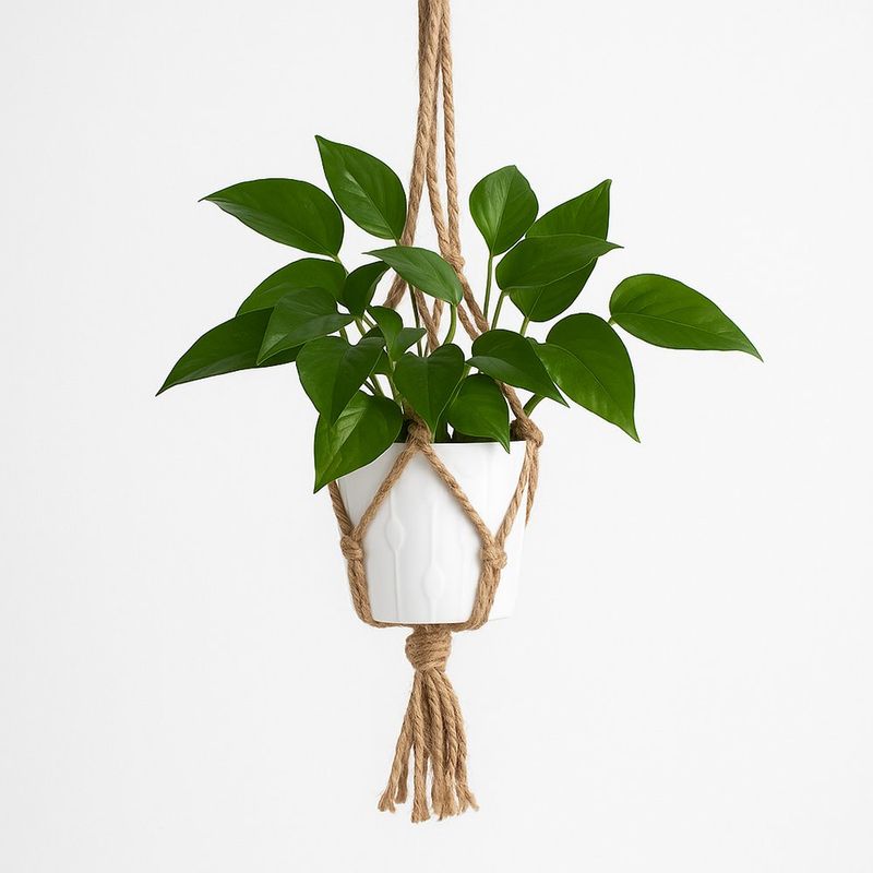 Colgador de Plantas Tipo Macramé 36 Plg
