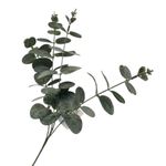 Rama con Hojas Brillantes Verde de 60 Cm
