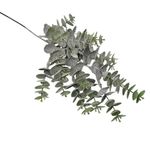 Rama Decorativa Tipo Eucalipto Verde de 48 Cm