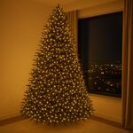 Serie Tipo Racimo LED Blanca Cálida 1000 Luces y 8 Funciones