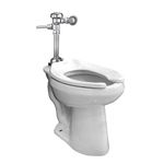 Sanitario Elongado Carlton con Fluxómetro