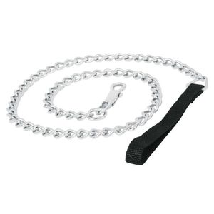 Cadena de Paseo para Perro