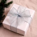 Listón Plateado Transparente