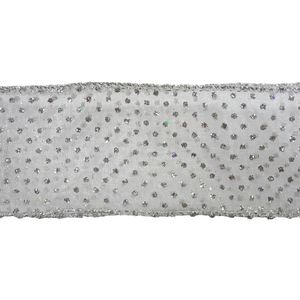 Listón Plateado Transparente