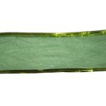 Listón Verde Transparente